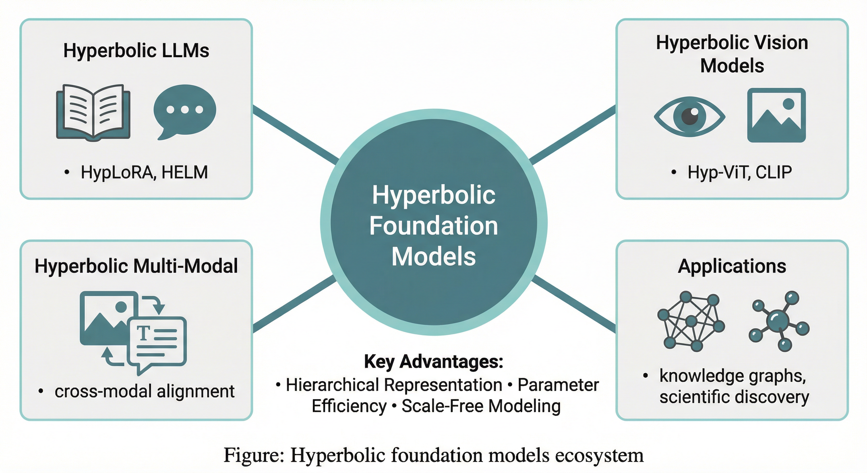 Hyperbolic foundation models ecosystem