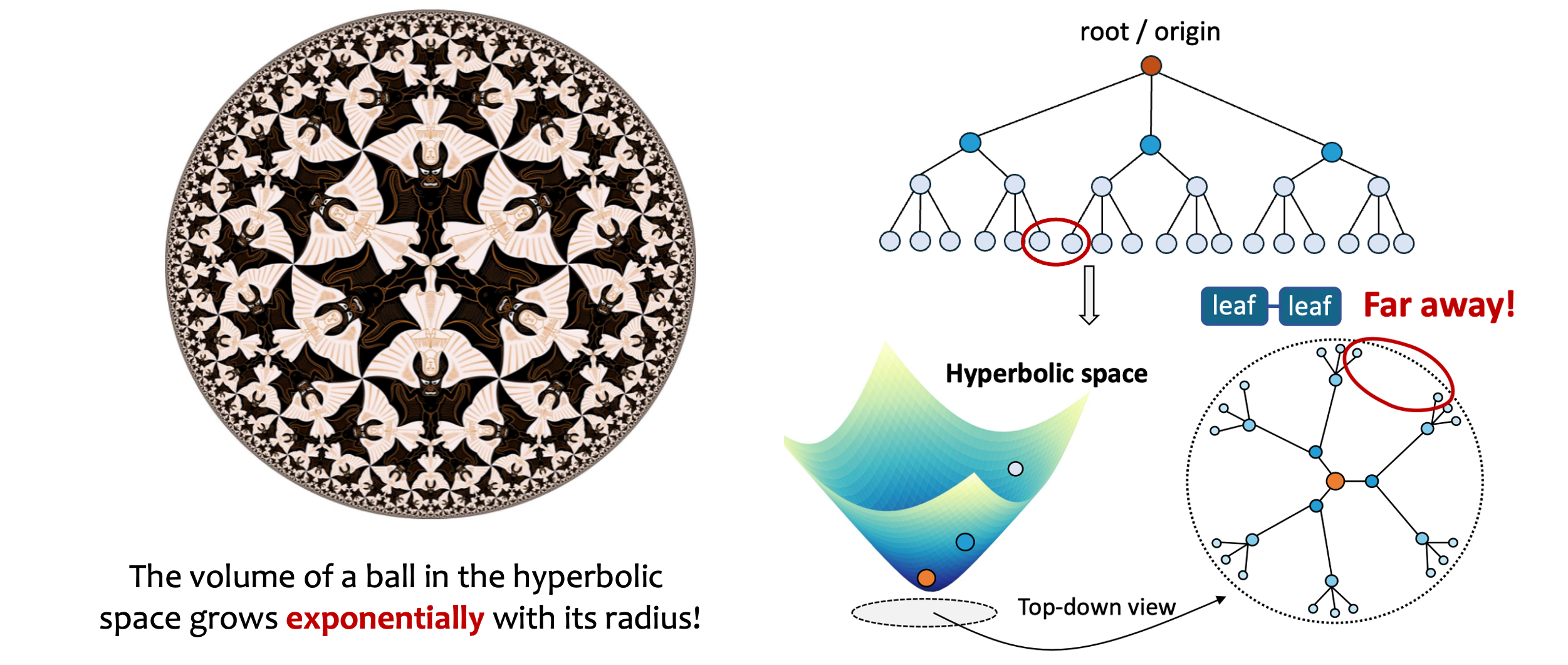 Leaf-leaf distance in hyperbolic space